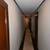Spacious 4‑Bedroom / 1 Bath Home — Private Entrance + Secure Parking — 9 thumbnail