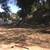 Concrete / Retaining Walls / Pavers / Hardscape / Outdoor Upgrades 19 thumbnail