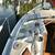 1985 Freedom 21 Catboat 3 thumbnail