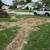 Stump Grinding 4 thumbnail