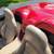 2005 Chevy Corvette Conv 28K MILES 6 Speed Clean Carfax LIKE NEW 16 thumbnail