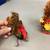 Lot Of 8 Turkey Thanksgiving Autumn Decorations Figurines 3 thumbnail