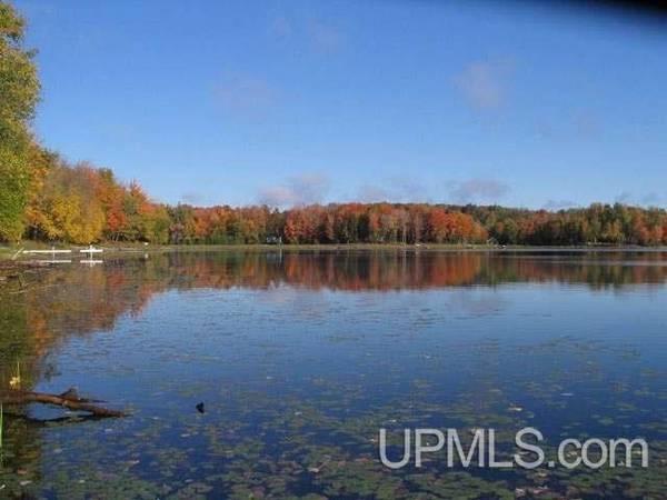 $73,500 2 Acres County Line Lake MLS 50175787 (Watersmeet)64151610098946120