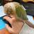 Bird and Small Pet Boarding / Pet Sitting 1 thumbnail