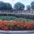 Cemetery Plots Meadowridge Memorial Park  Negotiable, MAKE OFFER! 2 thumbnail