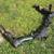 2015 Chevy / GMC rear receiver hitch 2 thumbnail