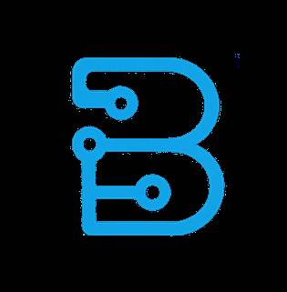 Looking for Professional Website Development and SEO Services in Ahmed 1