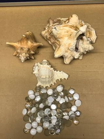 Assorted Aquarium Decorative Habitat Sea Shells and Pebbles 1