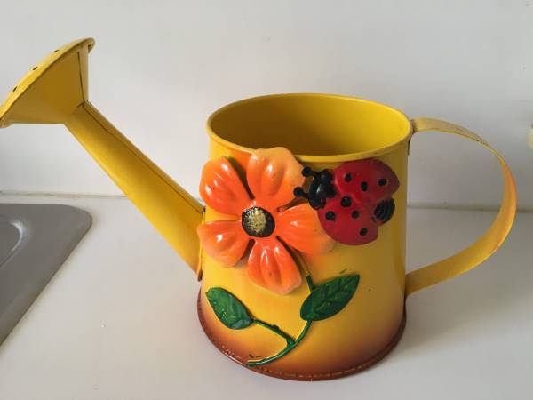 Decorative Metal Watering Can - $10 (Queens)63471239161859120