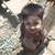 Website developer needed for small international charity 3 thumbnail