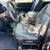 2019 RAM 1500 Classic Quad Cab 2WD 6.5 Long Bed V6 w/New Tires!! 14 thumbnail