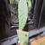 Flowering Prickly Pear Tree 2 thumbnail