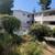 Bright and large one-bedroom unit near downtown MV & El Camino Real 16 thumbnail
