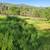 3.3 acres available in beautiful Copperopolis 10 thumbnail