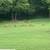 Nice Brick home on two acres with year round spring. 16 thumbnail