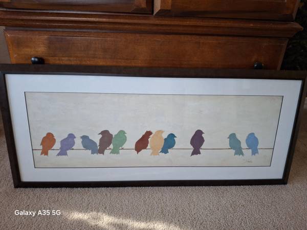Cute Colorful Birds on a Wire Print 18x42 - EUC 1