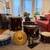 Ludwig Portlander Drum Kit 12/14/20 5 thumbnail