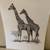 Animal Drawings - 10 African Animals 1 thumbnail