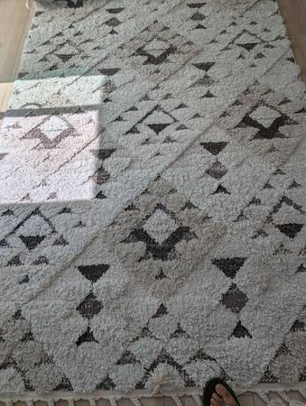 Area rug 1