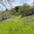 Little Uvas Road 21 acres, owner financing, water and five nice pads! 22 thumbnail