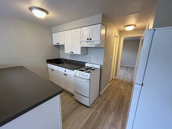 $1,295 / 1br - 4212 5 Spacious Daylight Basement Apartment for Rent (Seattle)63850640960641122