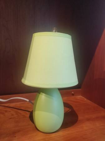 Green square cushion, green table lamp, flowers 1