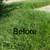 Lawn Services for Residential and Commercial 7 thumbnail