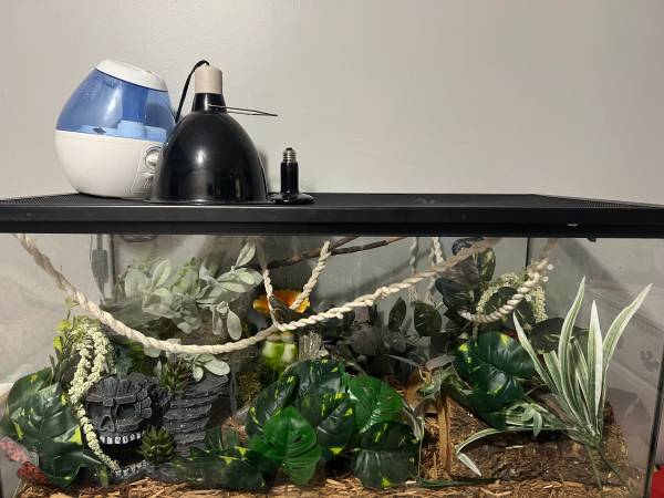 (almost) FULL snake tank set up $200 obo 1