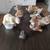 Vintage Figurines in Porcelain, Ceramic and Wood 2 thumbnail