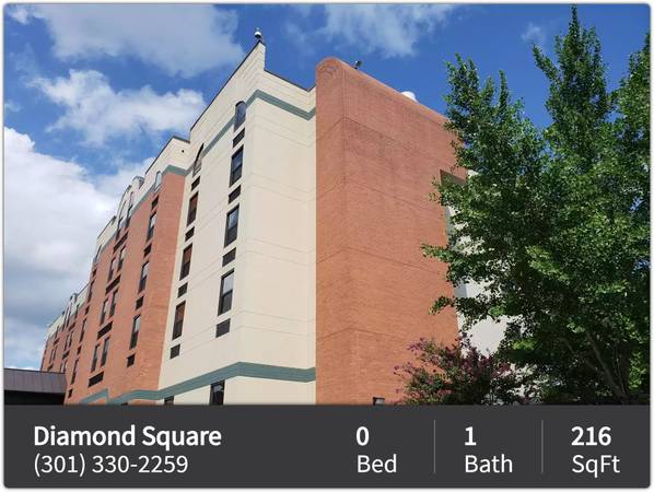 $745 / 216ft2 - Upgrade your lifestyle! Apartment 216 SqFt! (Gaithersburg)63896274663042121