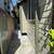 Classic 1 Bd/1 Bth Craftsman home 18 thumbnail