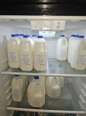 Fresh raw goat milk 1