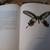 BOOK - "Beautiful Butterflies" - inc. 56 color plates, entomology 3 thumbnail