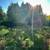 Three-Bedroom House in the Rockland Area 10 thumbnail