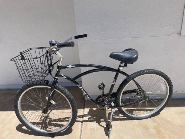 Beach cruiser black electra - bike 1