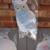 3 REFLECTIVE OWLS KEEPS PESTS OUT OF GARDEN 3 thumbnail