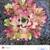 Bromeliads - cold hardy tropical plants 1 thumbnail