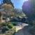 Charming 3 Bed/2 Bath House Available in November! 3 thumbnail