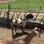 Boer Goats 1 thumbnail