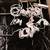 LIGHTING.  Polished Brass Wall Mount Picture Lighting 1 thumbnail
