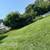 Nice Good Reliable Affordable Fall Clean & Lawn Care Service 3 thumbnail