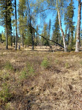 $185,000 / 362855ft2 - Listing #25-511 ATTENTION ALL PILOTS, AIRPARK OPPORTUNITY! (Kasilof)64004785021825123