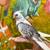 Handfed Cockatiel 4 thumbnail