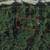 Quarter acre lot on interior lake Lake of the Ozarks 7 thumbnail