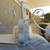 LARGE IRON EXTERIOR SCONCE 3 thumbnail