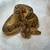 Clown Ball Python Breeding Pairs 1 thumbnail