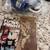 Pur explorer survivalist water purifier preppers clean water? 7 thumbnail
