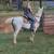Sweet Mare 5 thumbnail