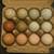 RAINBOW DOZEN HATCHING EGGS – $15 (Mocksville) 3 thumbnail