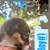 Australian shepherd puppies 1 thumbnail